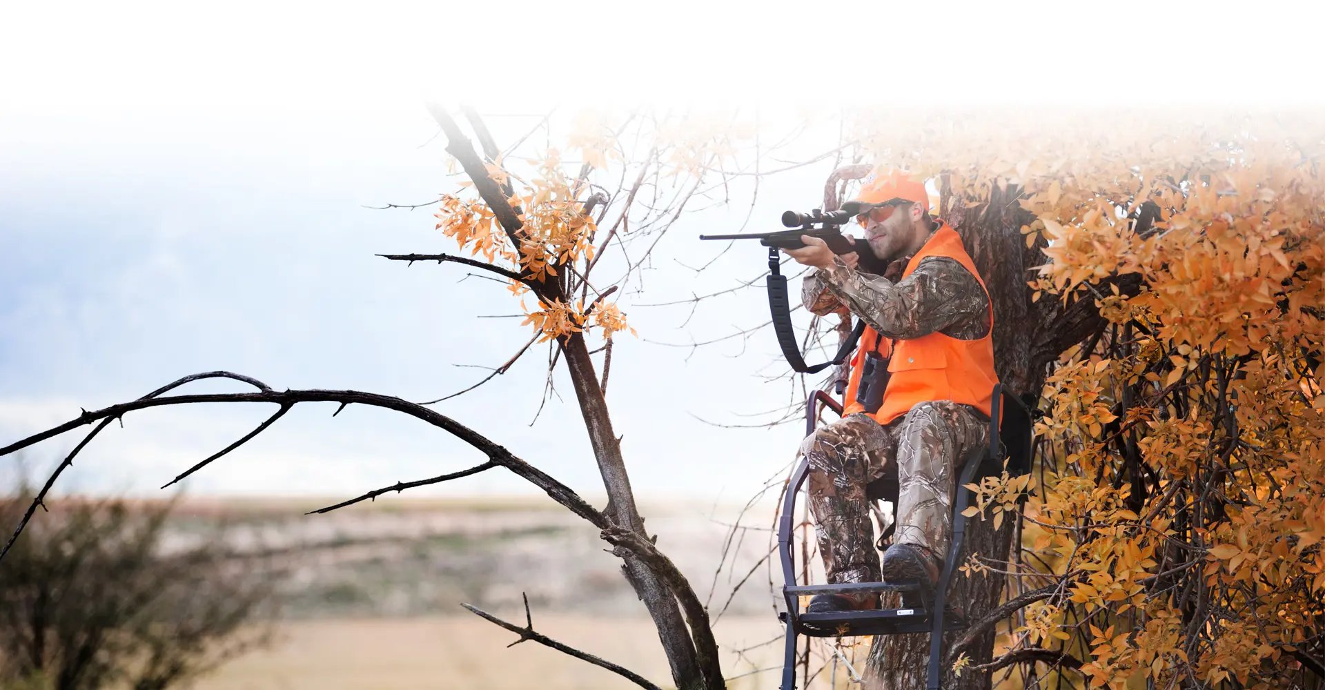 Hunter in treestand